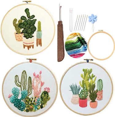Cactus Embroidery Starter Kit