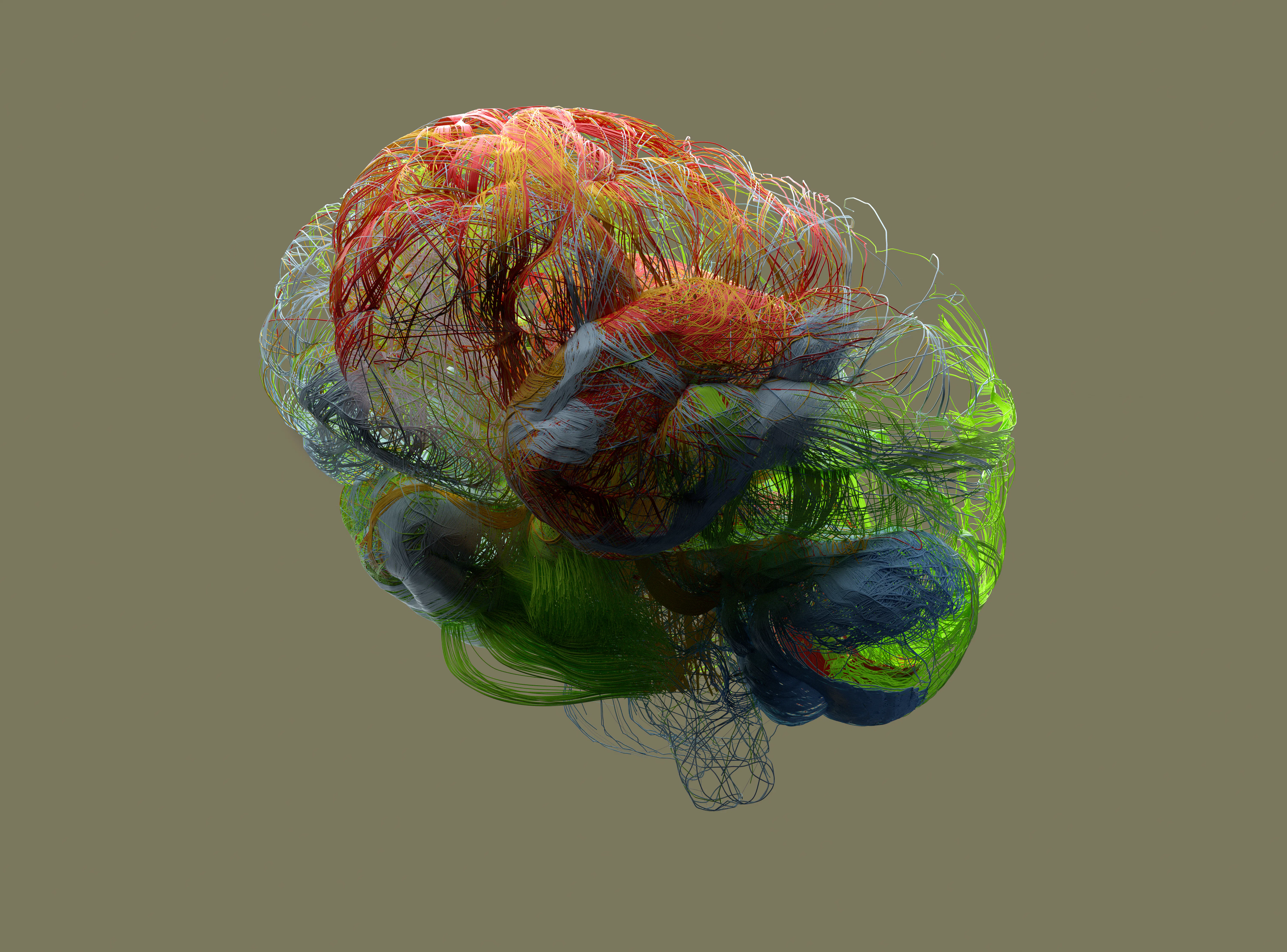 Why the immune system influences mental health