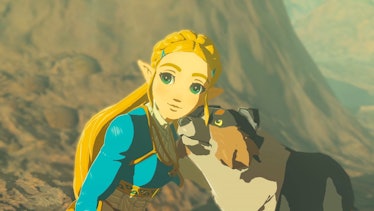 zelda breath of the wild with a dog