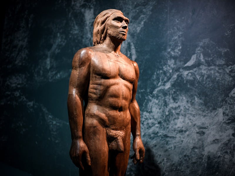 Neanderthal