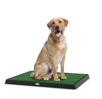 PETMAKER Artificial Grass Bathroom Mat