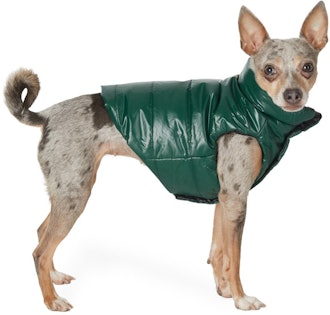 Reversible Green Poldo Dog Couture Edition Mondog Jacket