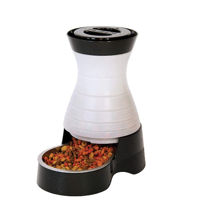 PetSafe Automatic Dog and Cat Feeder