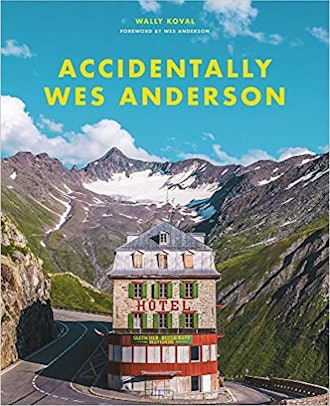 'Accidentally Wes Anderson'