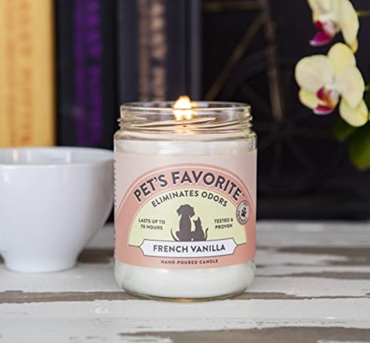 Pet's Favorite Odor-Eliminating Candle