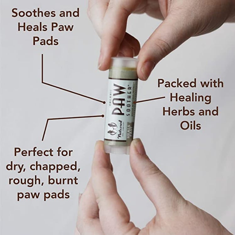 Natural Dog Company Paw Soother Stick