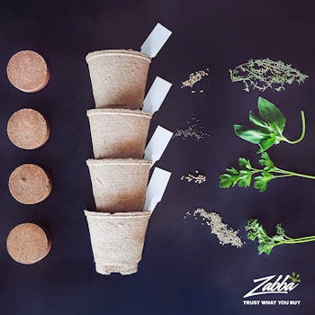 Nature's Blossom Herb Garden Kit