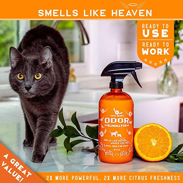 ANGRY ORANGE Ready-to-Use Citrus Odor Eliminator Pet Spray