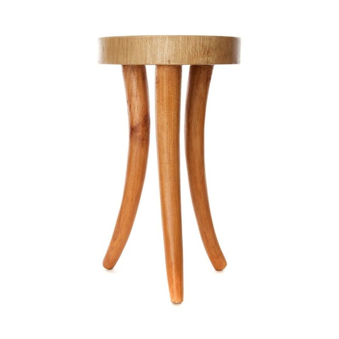 Cedrela Wood Side Table