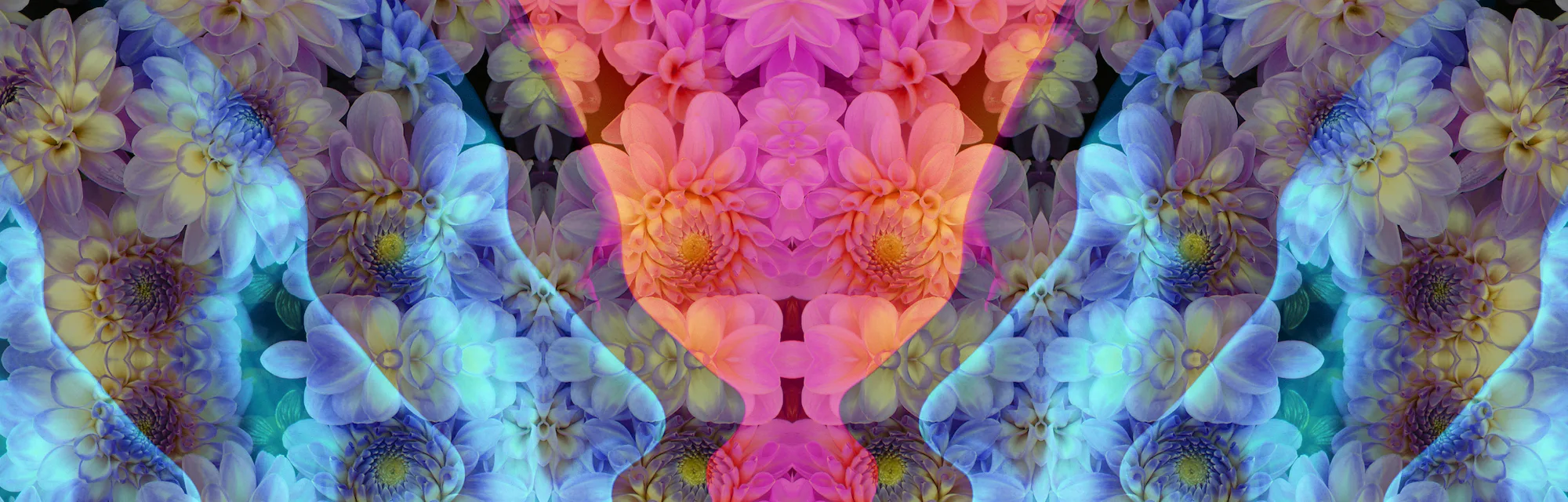 Psychedelic Study Reveals How Lsd Changes The Brain Psychedelic Study Reveals How Lsd Changes The Brain