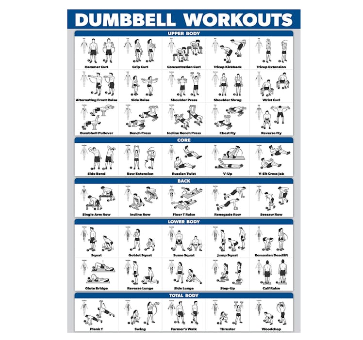 Palace Learning Dumbbell Workout Poster