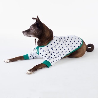 Family Snug-Fit Company Organic Cotton Dog Pajamas - Star