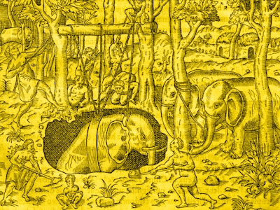 Elephant hunting on the island of Java, engraving from Universal Cosmology, by Andre Thevet (1504-15...