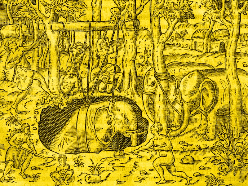 Elephant hunting on the island of Java, engraving from Universal Cosmology, by Andre Thevet (1504-15...