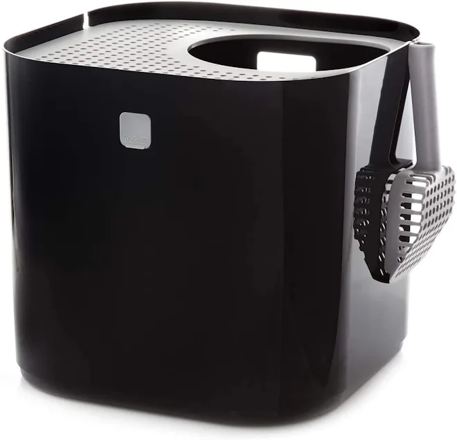 best cat litter box to control odor best cat litter box to control odor