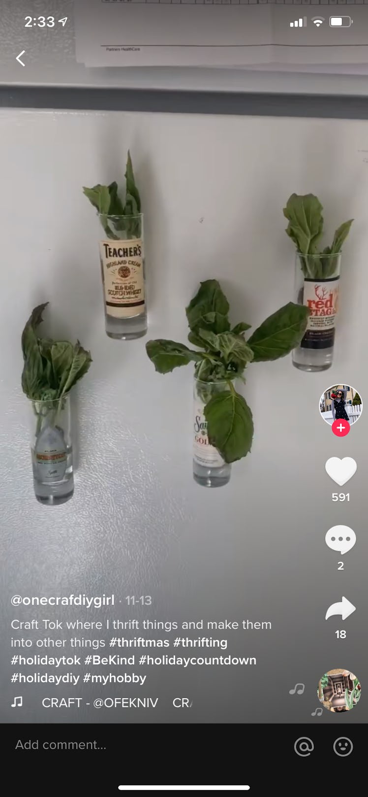 Shot glasses are turned into a magnetic garden in a thriftmas video on TikTok.