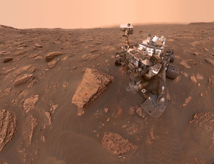 NASA curiosity selfie 