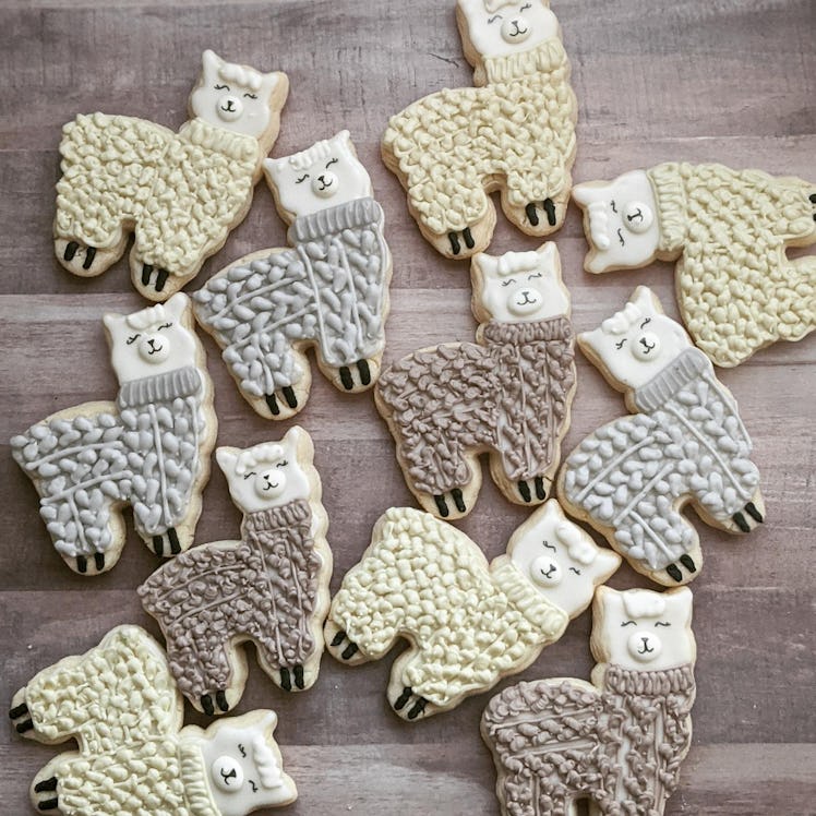 Cookies Inspired by Animals in Knit Sweaters