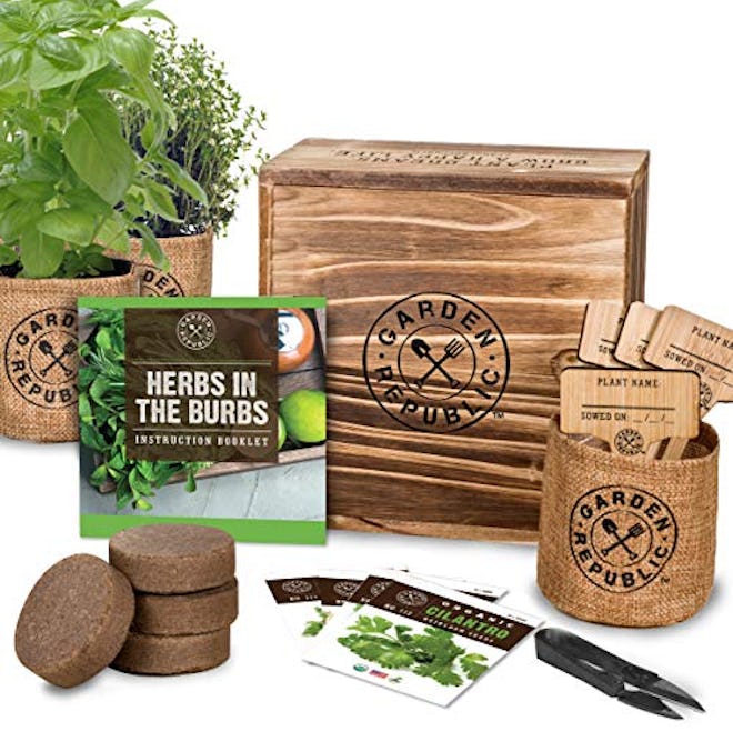 Garden Republic Indoor Herb Garden Starter Kit 