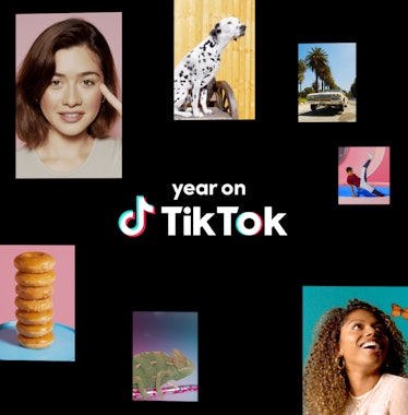 TikTok released a personalized year-end highlights video for users.
