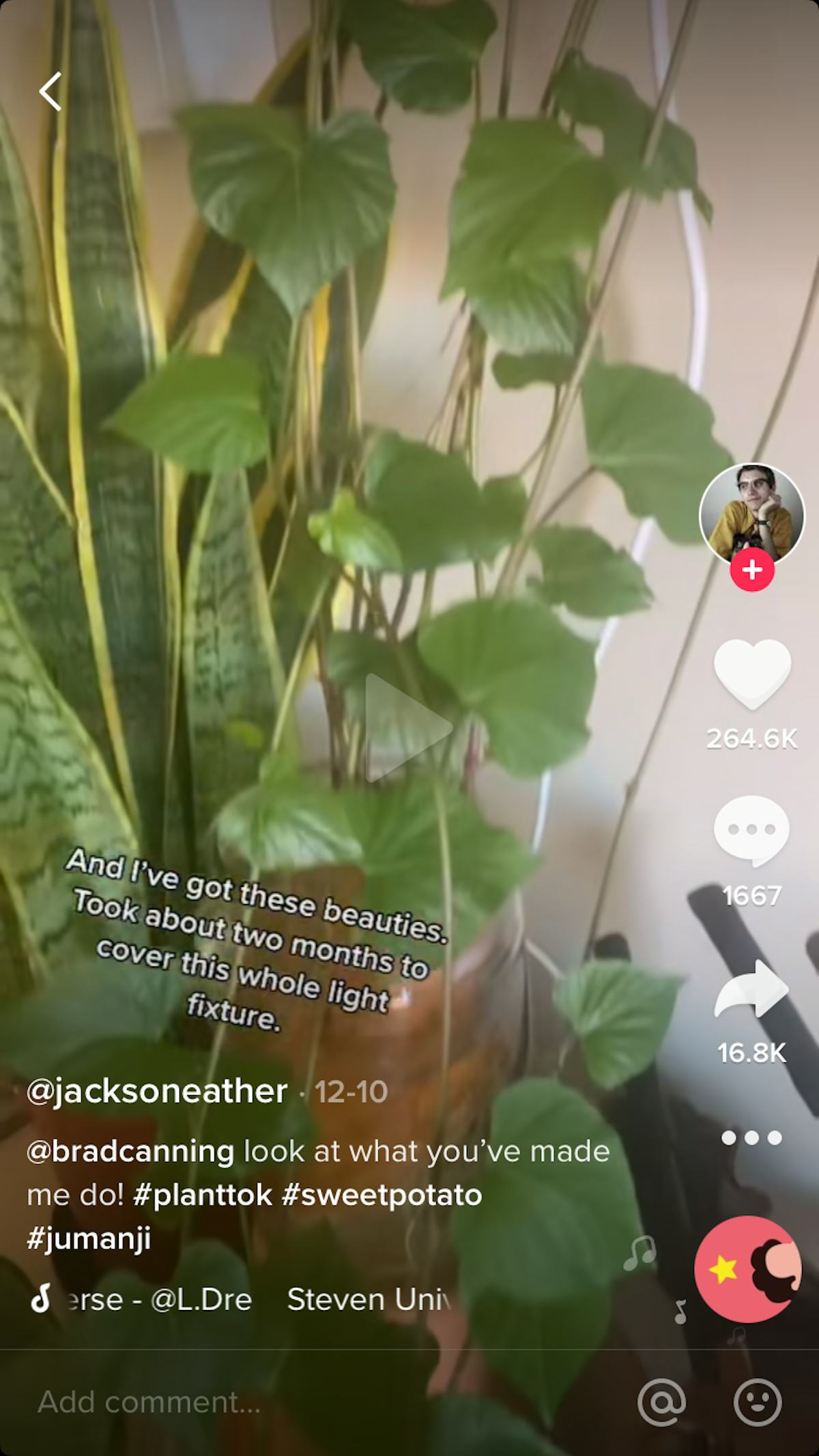 10 Plant Hacks On TikTok That Deserve A Green Thumbs Up