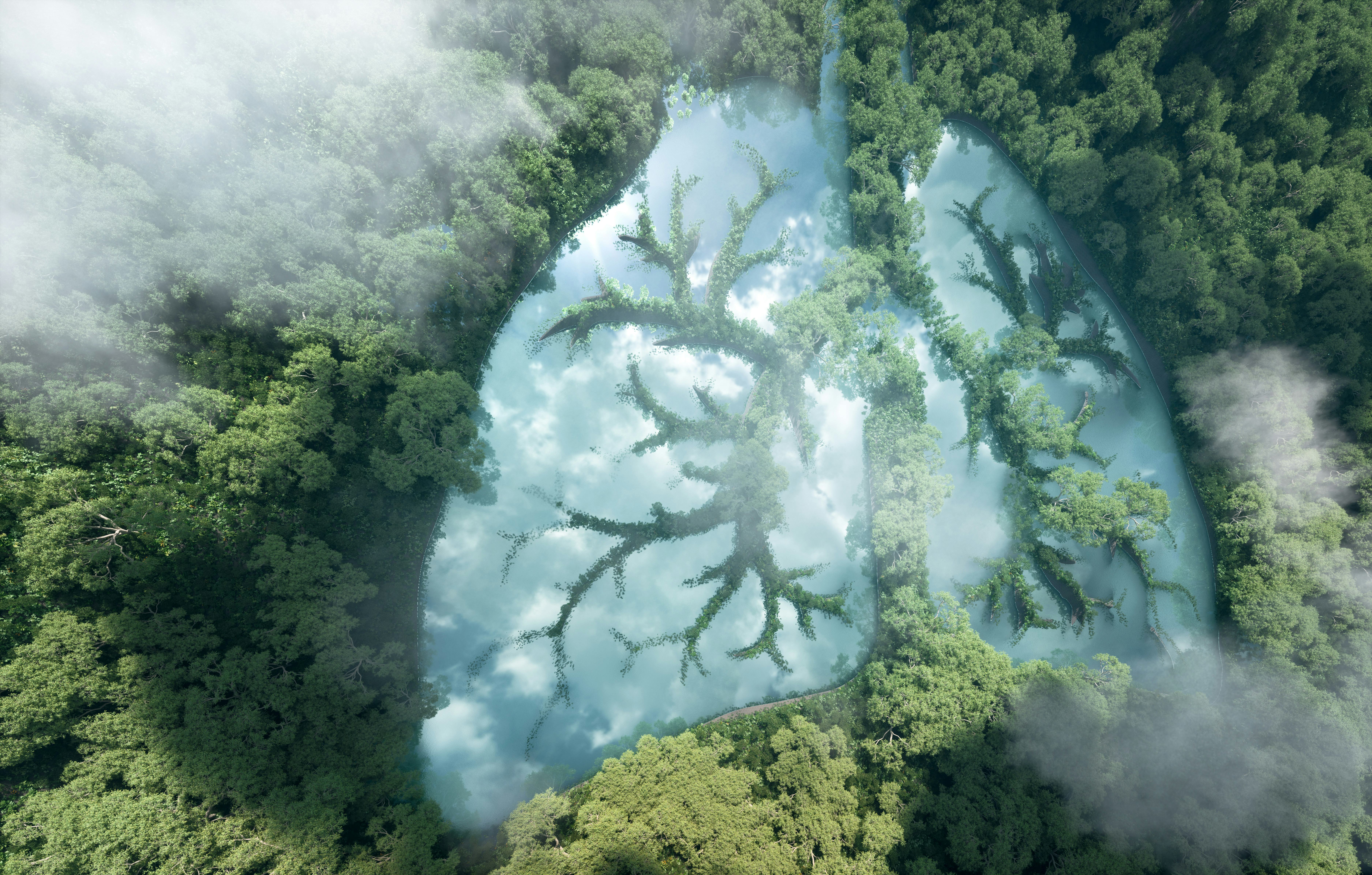 Green lungs of planet Earth. 3d rendering of a clean lake in a shape of lungs in the middle of virgi...