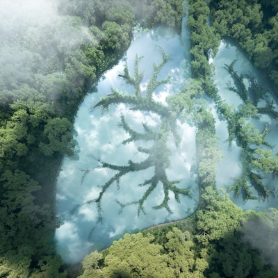 Green lungs of planet Earth. 3d rendering of a clean lake in a shape of lungs in the middle of virgi...