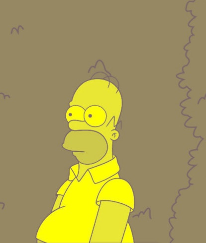 Homer Simpsons from the Simpsons 