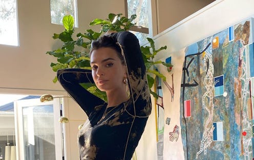 Emily Ratajkowski's home features a fiddle leaf fig tree