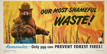 A 1949 Ad Council produced forest fire prevention ad.