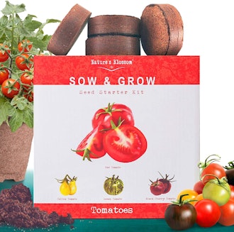 Nature's Blossom Tomato Garden Kit