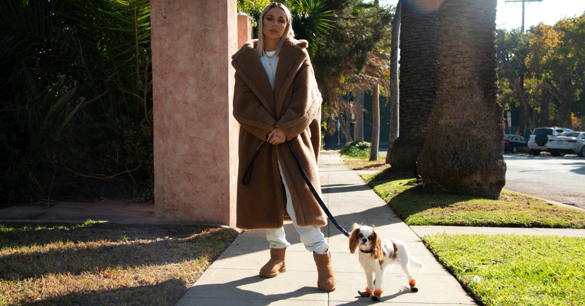 ugg dog booties