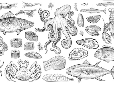 Seafood vector illustrations. Hand drawn line sea fishes, sushi rolls, oysters, mussels, lobster, sq...