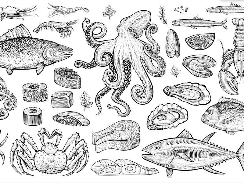 Seafood vector illustrations. Hand drawn line sea fishes, sushi rolls, oysters, mussels, lobster, sq...