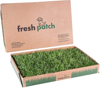 Fresh Patch Disposable Dog Pee Pad with Real Grass
