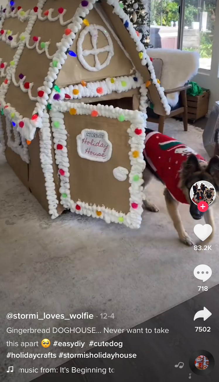 A dog runs out of his gingerbread dog house. 