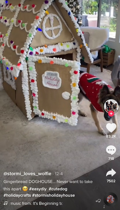 A dog runs out of his gingerbread dog house. 