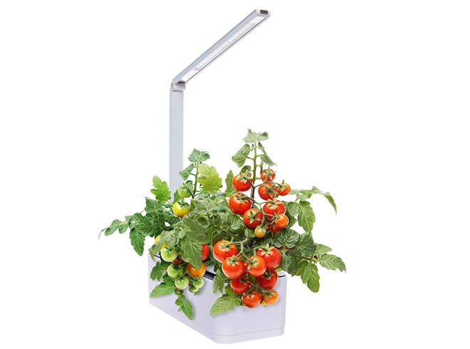 Mindful Design Hydroponic Garden