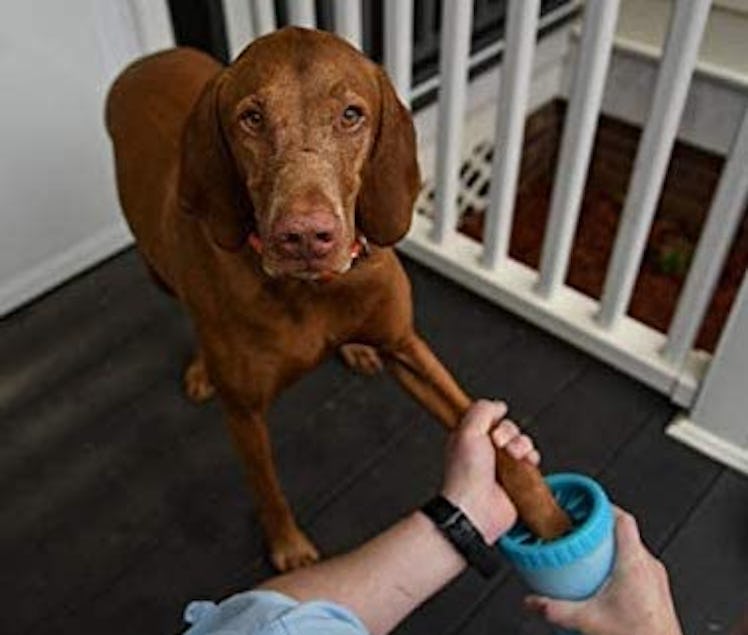 Dexas MudBuster Portable Dog Paw Washer