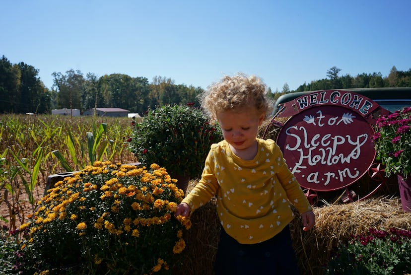 The author's toddler daughter in front of some mums and a sign that says 'Sleepy Hollow Farm'
