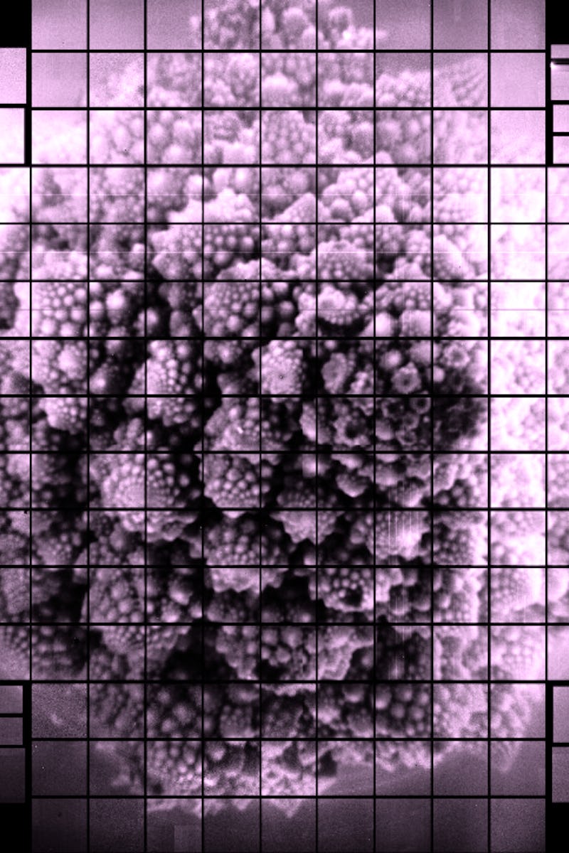 romanesco cauliflower 3.2 billion pixel image