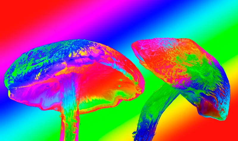 Two magic mushrooms that might rebalance the brain with a rainbow color filter