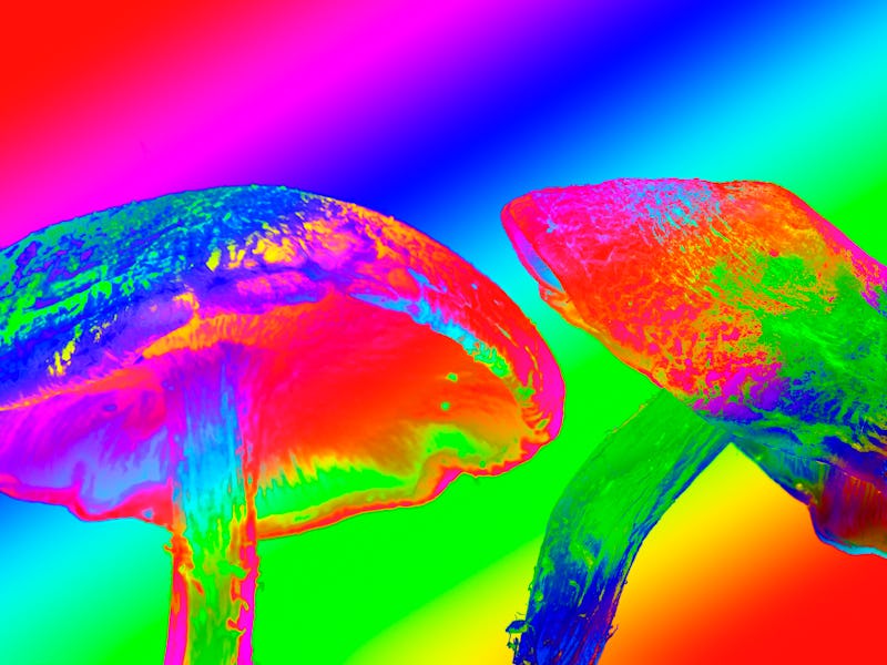 Two magic mushrooms that might rebalance the brain with a rainbow color filter