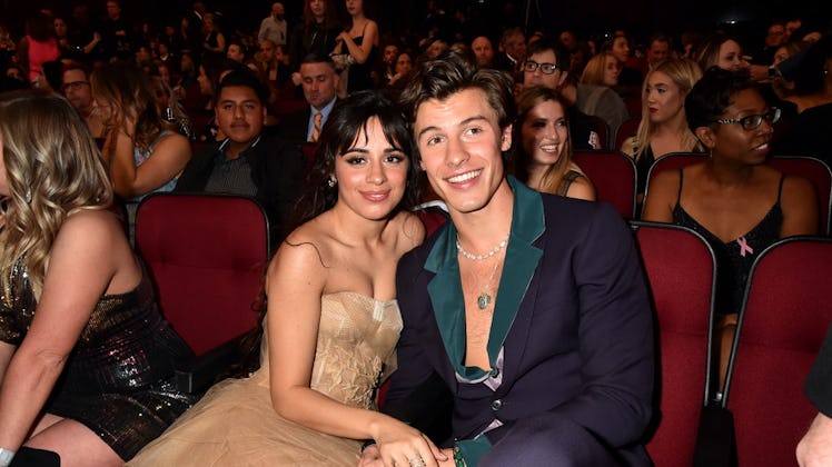 Shawn Mendes and Camila Cabello's Christmas 2020 Instagram is lovey dovey.