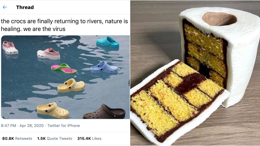 2020 S Best Memes From Nature Is Healing To Everything Is Cake