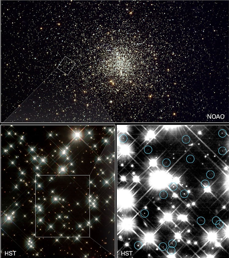 Located in the Milky Way's globular cluster M4, these small, burned-out stars — called white dwarfs ...