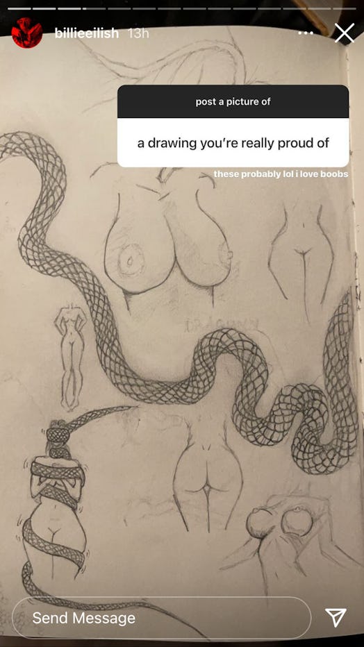 Billie Eilish Instagram story of boob drawings