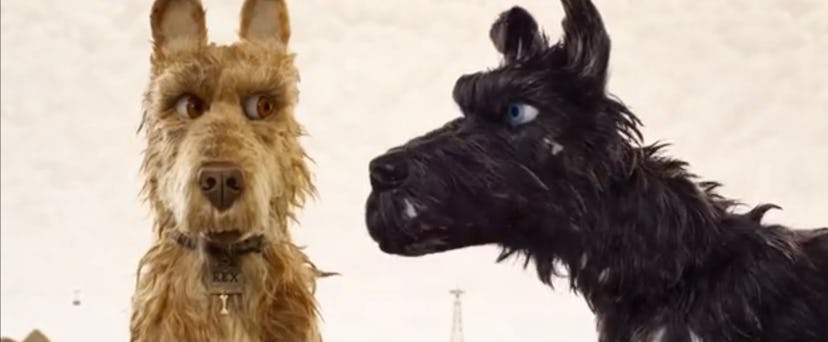 Still from the film 'Isle of Dogs.'