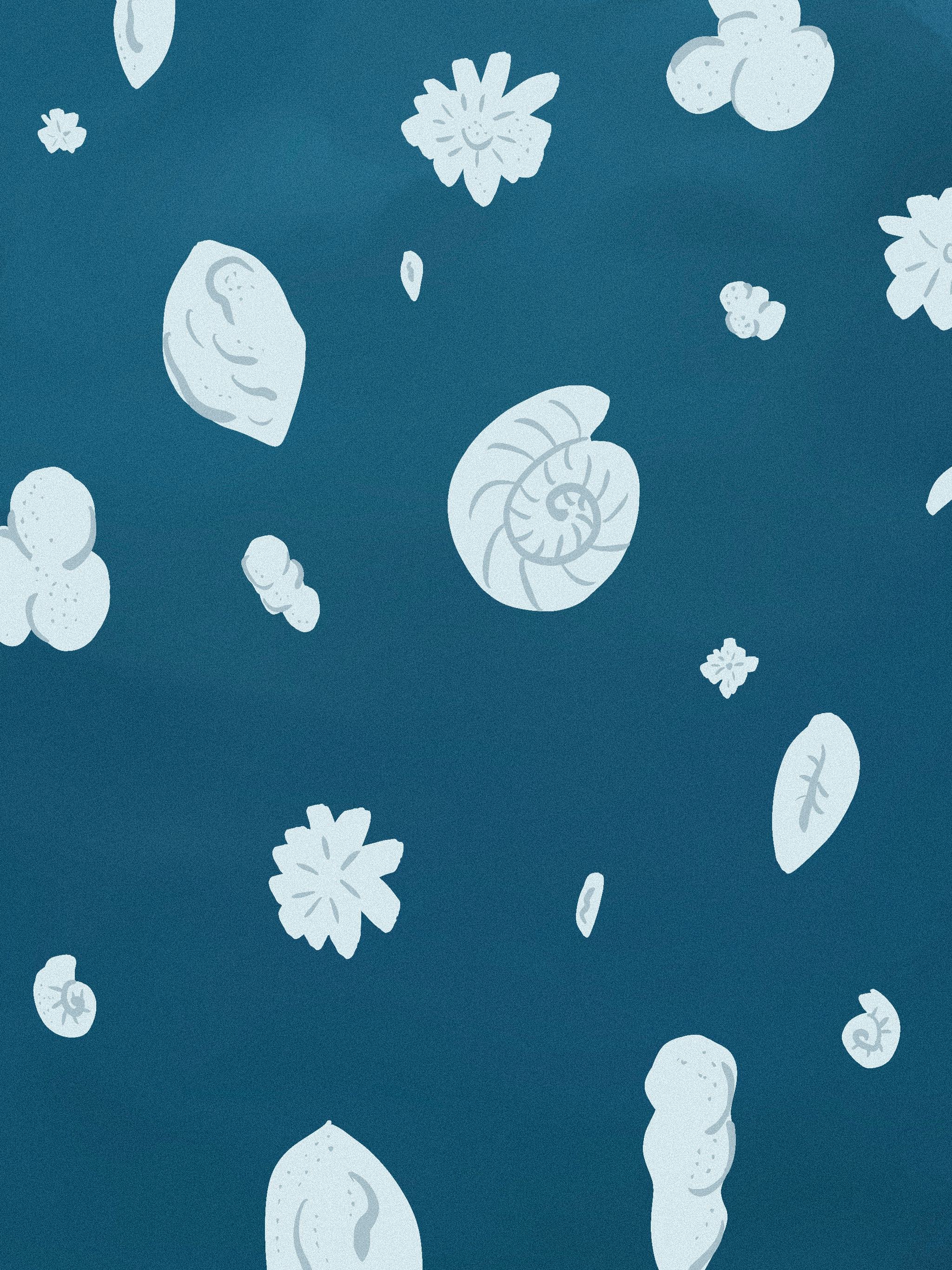 An illustration of shells and abstract elements in white on a dark-blue surface