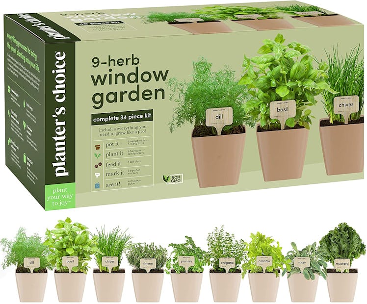 Planters' Herb Window Garden (9-Pack)
